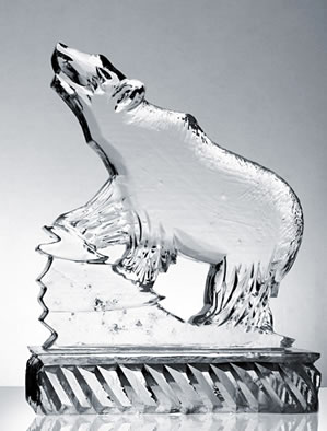Eisbär