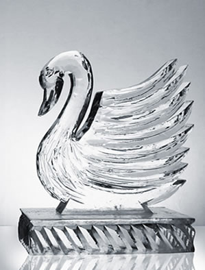 Schwan